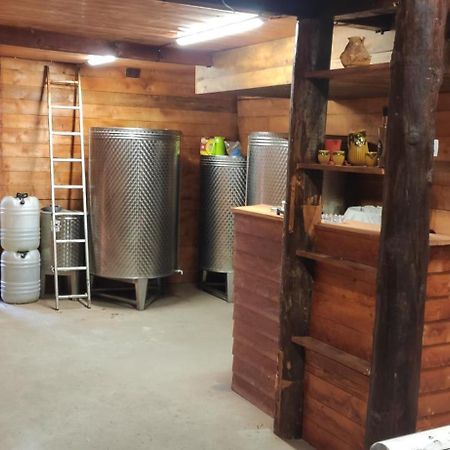 Salaš Farma 47-Miris Dunja Cenej Bagian luar foto