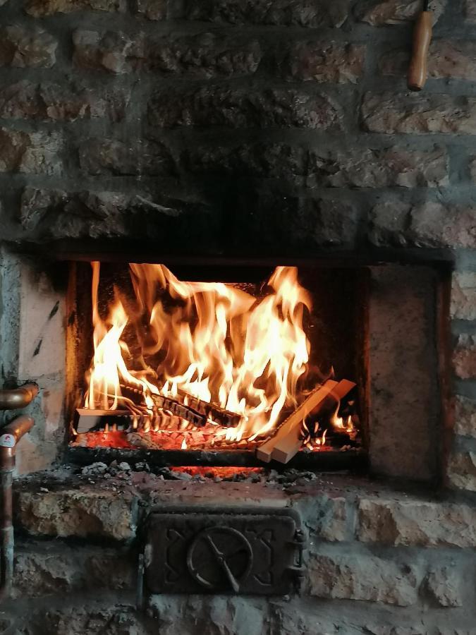 Salaš Farma 47-Miris Dunja Cenej Bagian luar foto