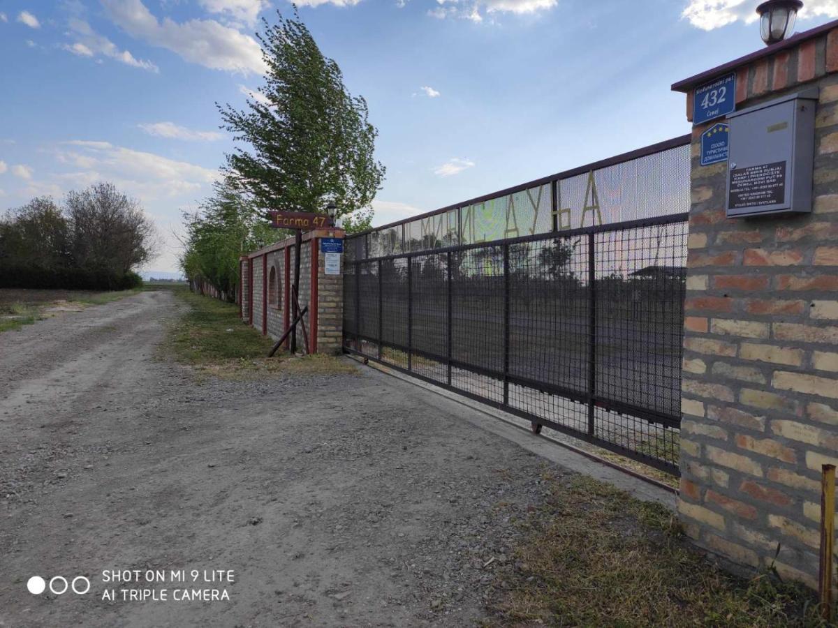 Salaš Farma 47-Miris Dunja Cenej Bagian luar foto