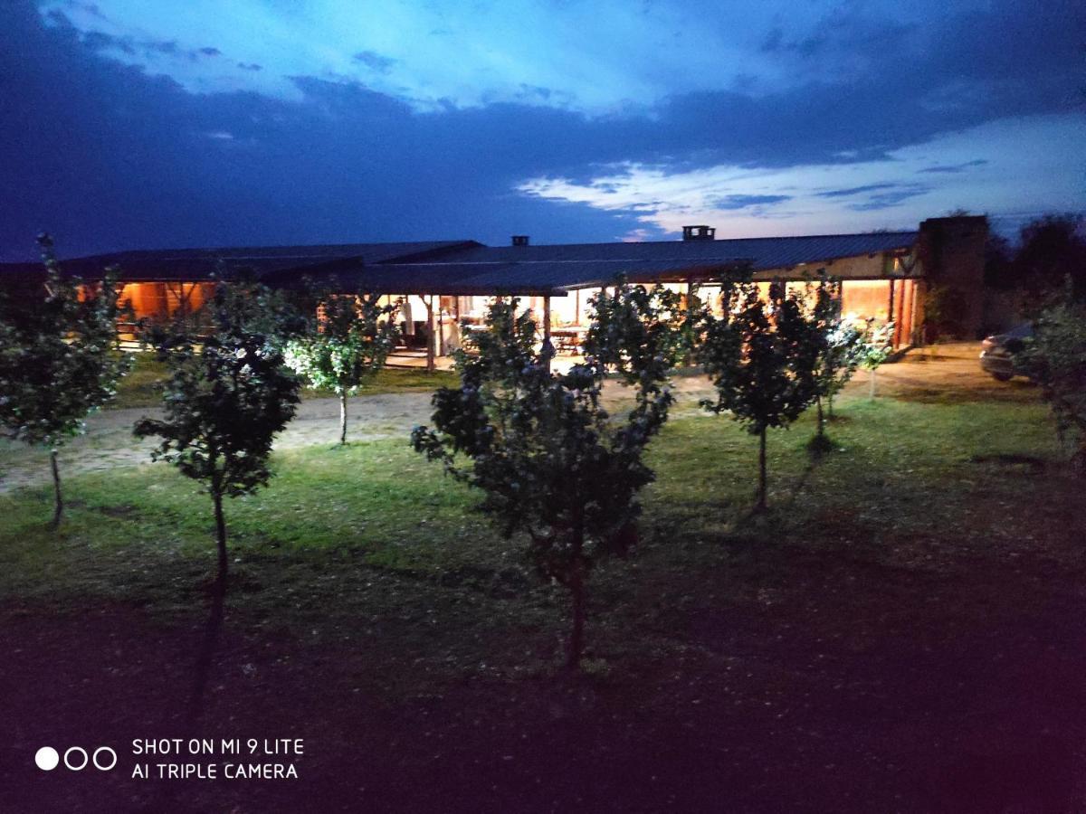 Salaš Farma 47-Miris Dunja Cenej Bagian luar foto