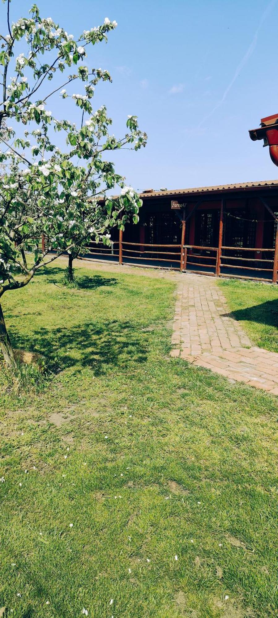 Salaš Farma 47-Miris Dunja Cenej Bagian luar foto