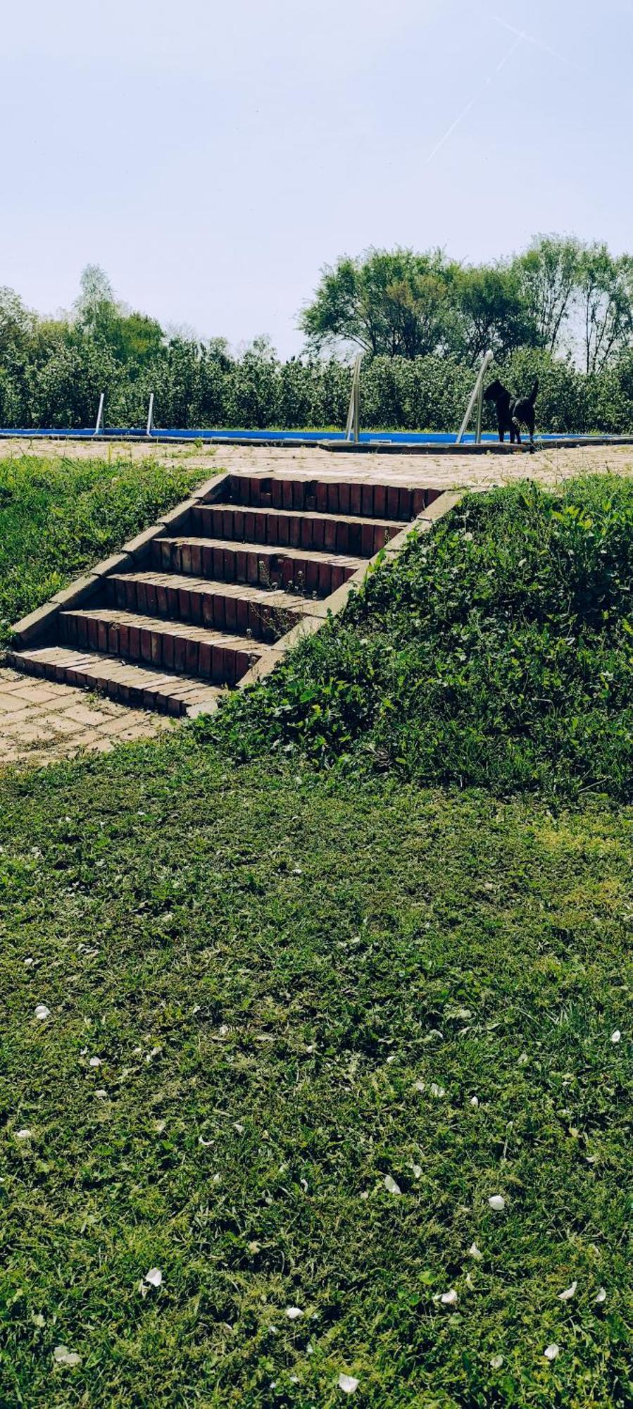 Salaš Farma 47-Miris Dunja Cenej Bagian luar foto