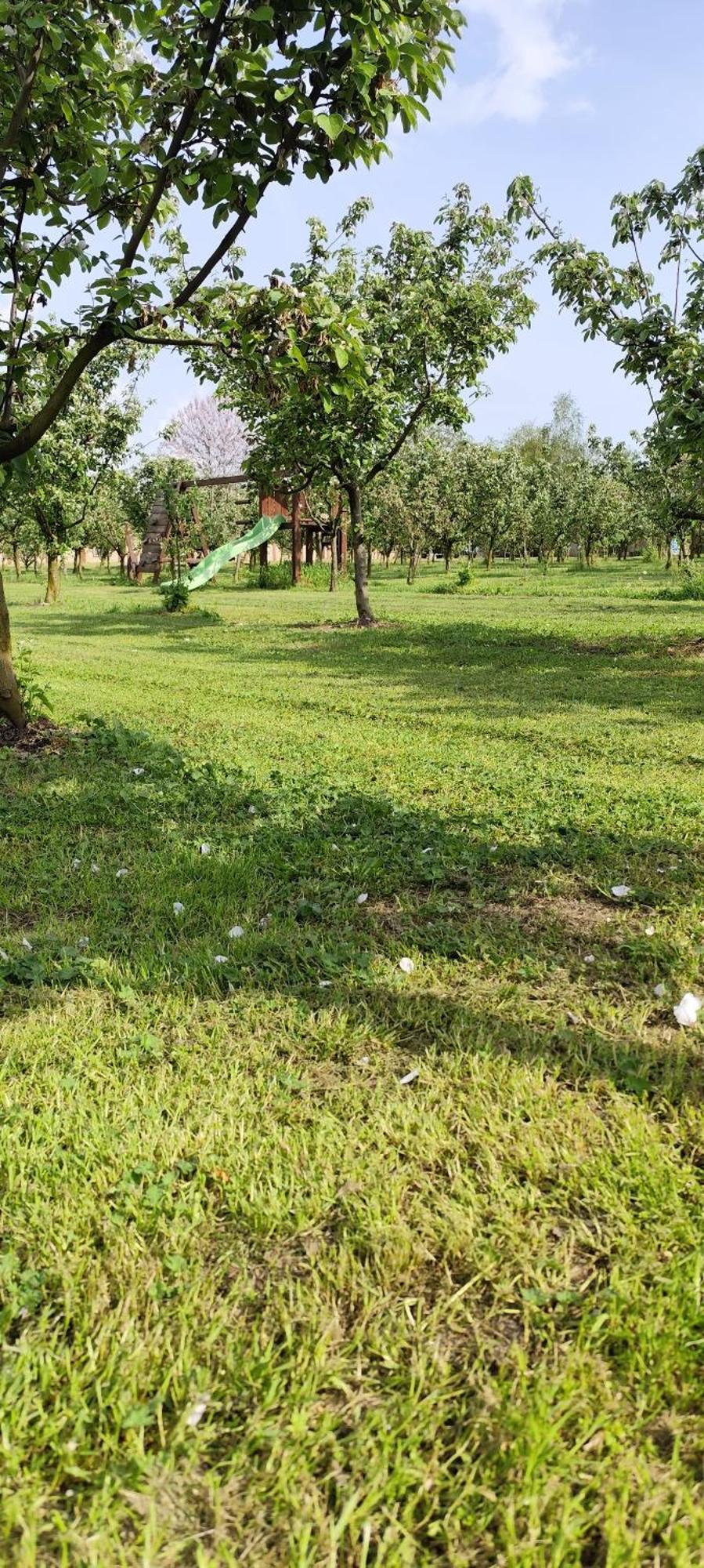 Salaš Farma 47-Miris Dunja Cenej Bagian luar foto