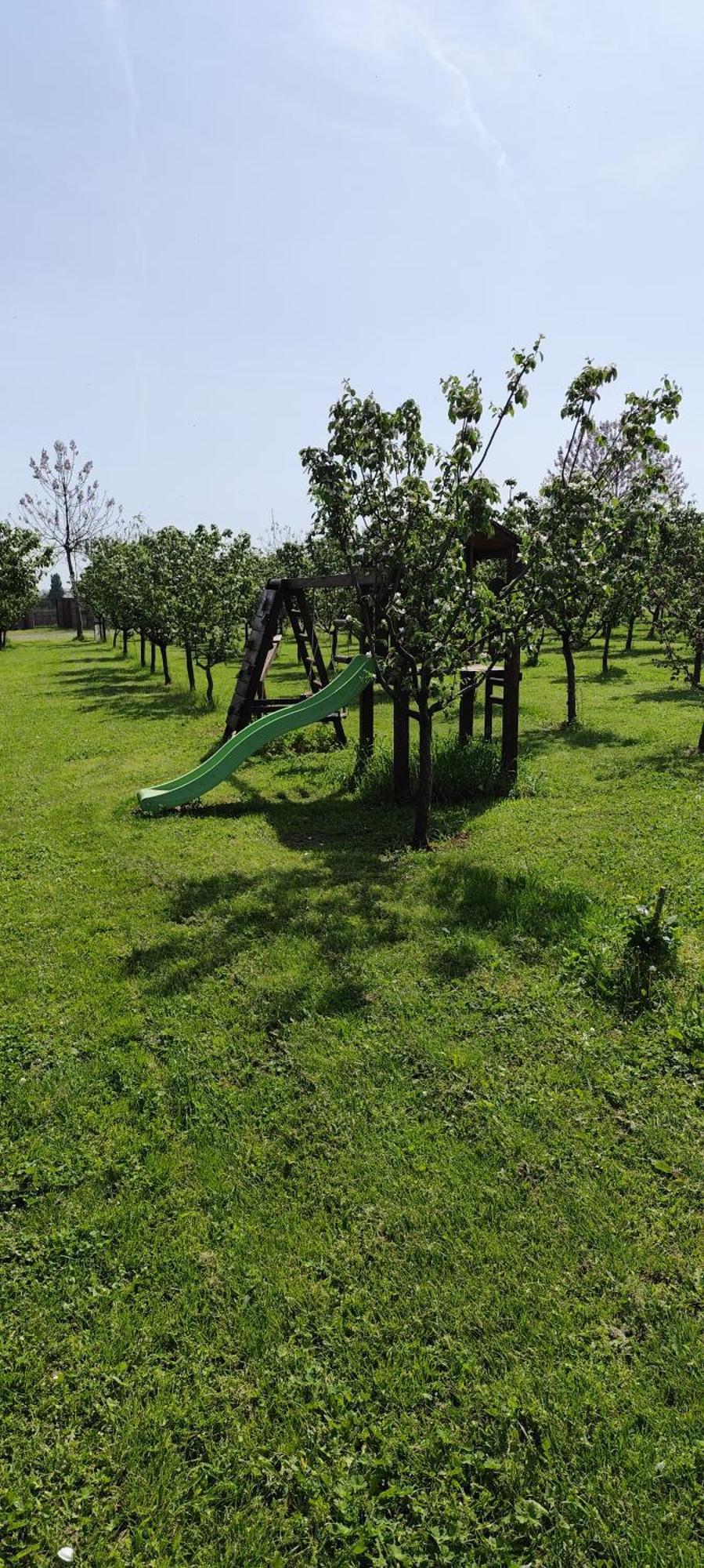 Salaš Farma 47-Miris Dunja Cenej Bagian luar foto