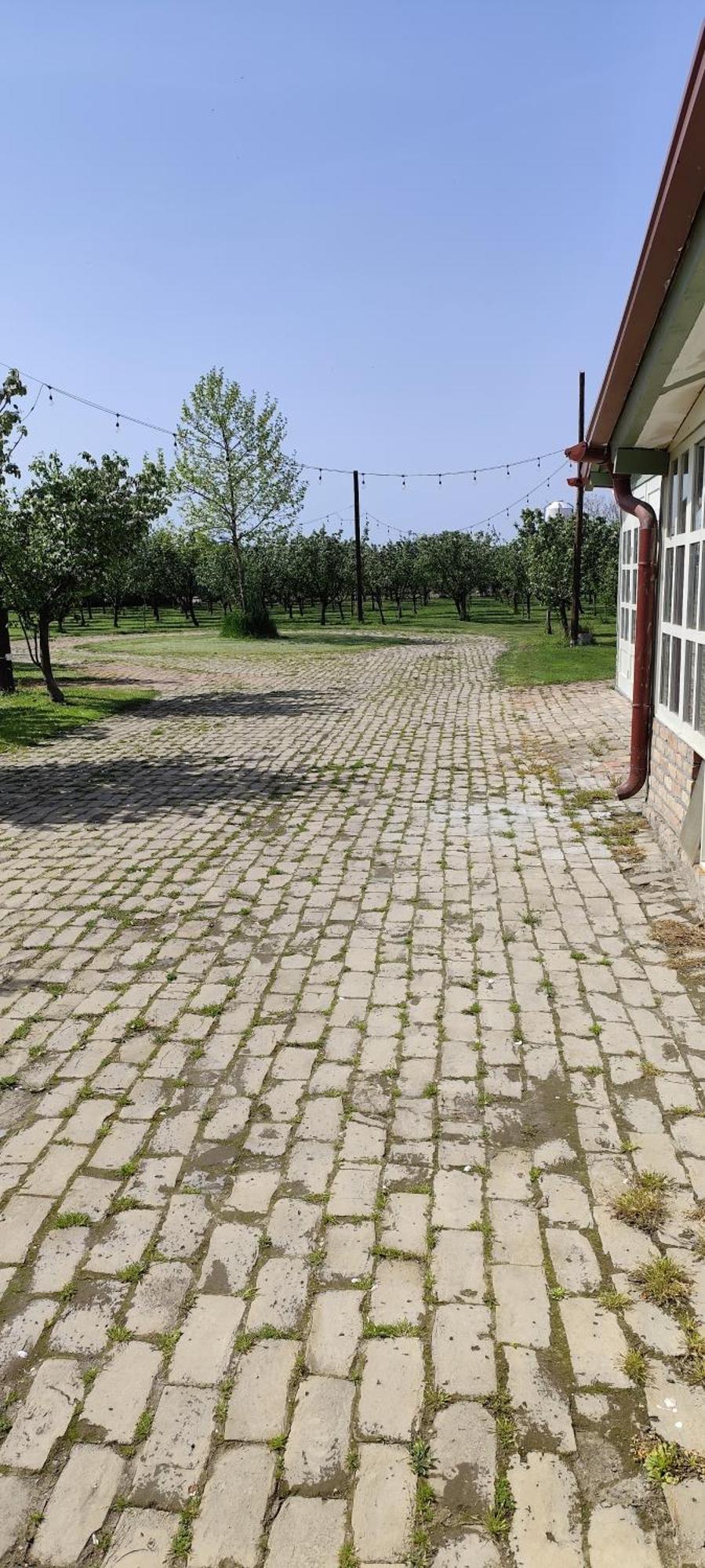 Salaš Farma 47-Miris Dunja Cenej Bagian luar foto