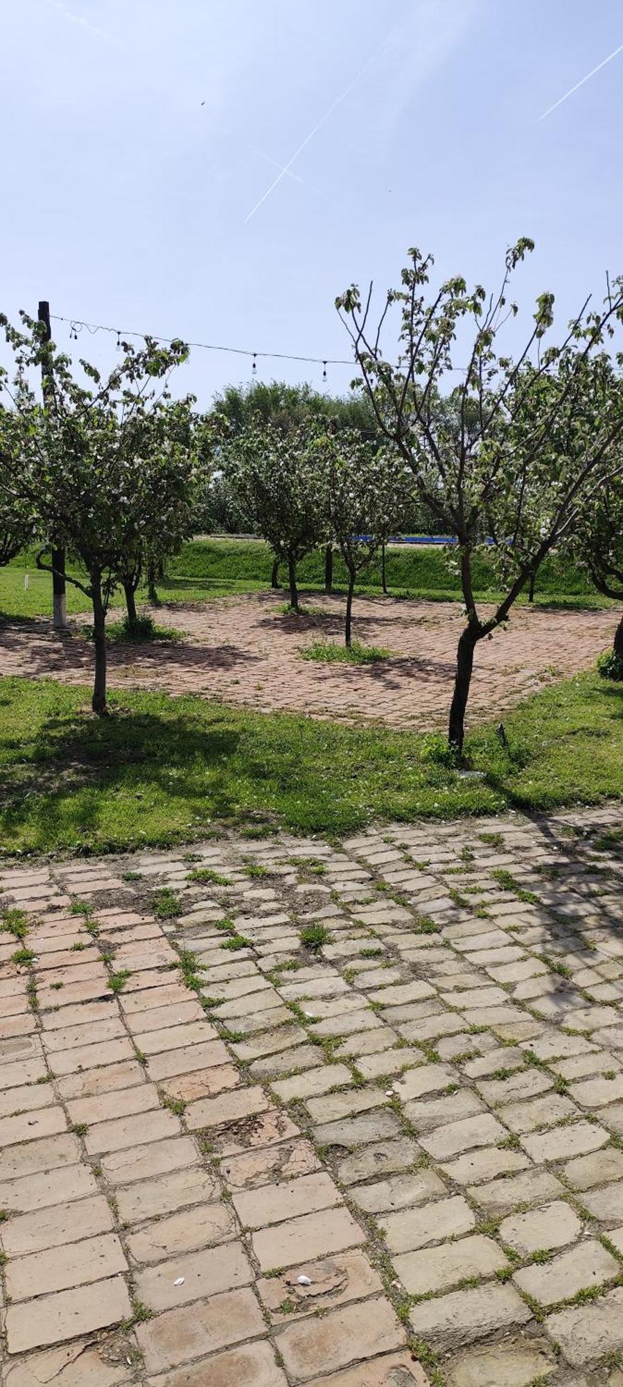 Salaš Farma 47-Miris Dunja Cenej Bagian luar foto