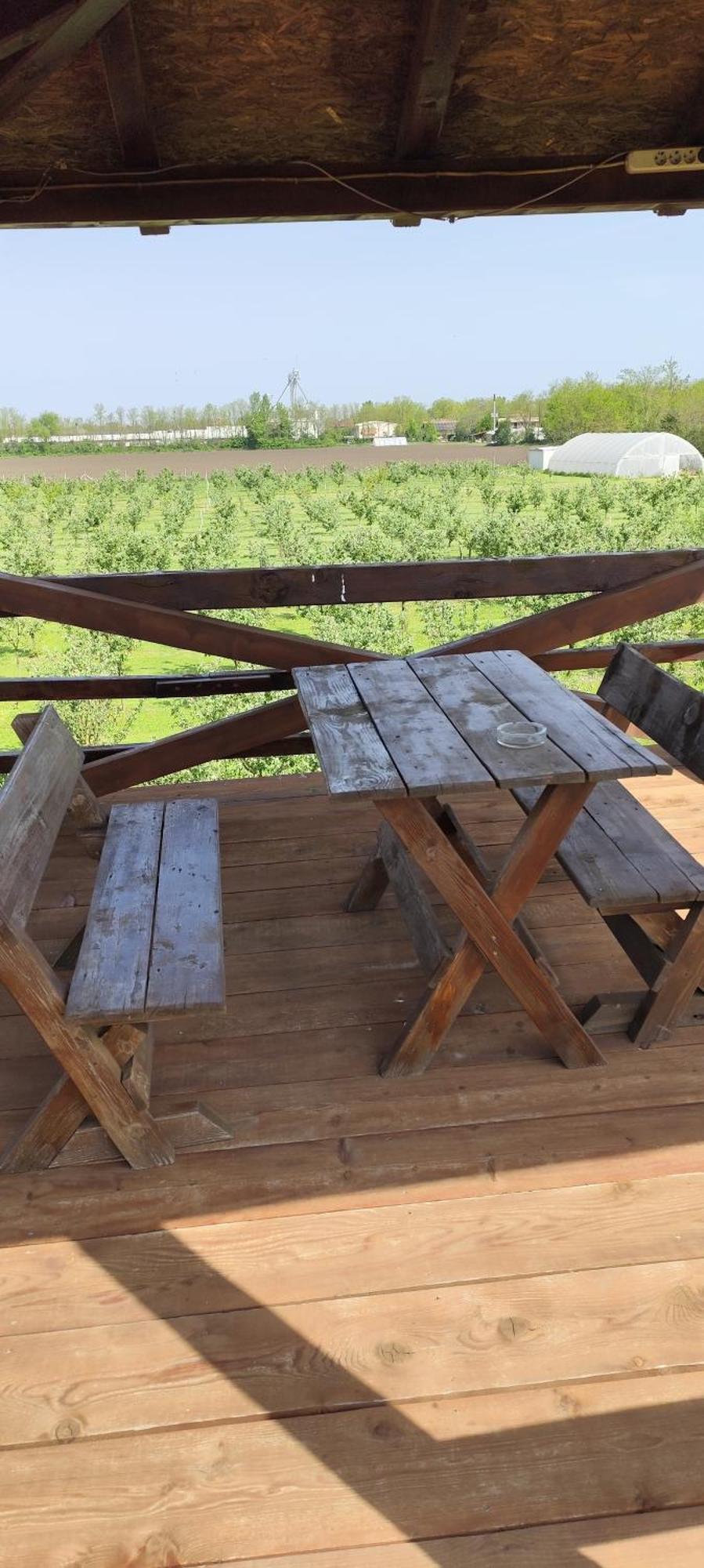 Salaš Farma 47-Miris Dunja Cenej Bagian luar foto