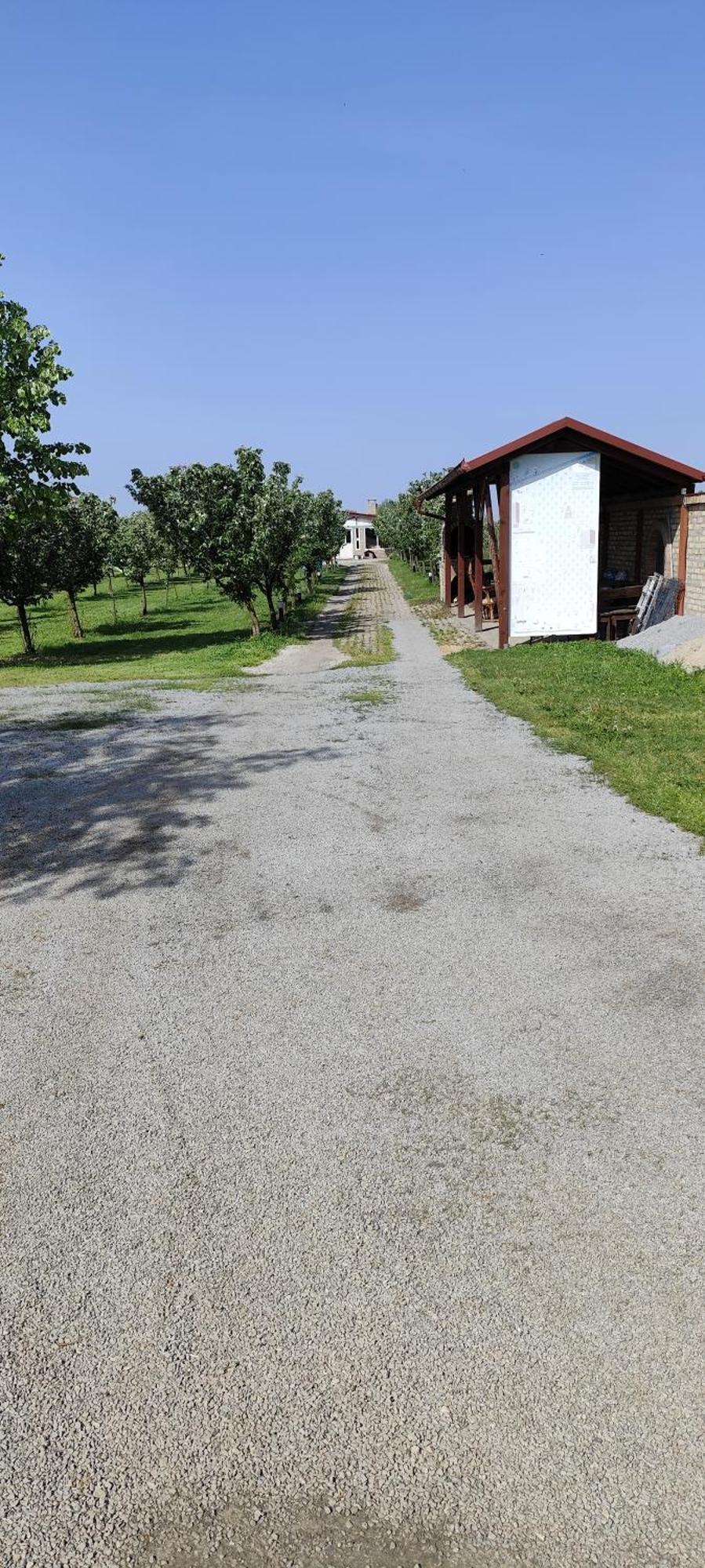Salaš Farma 47-Miris Dunja Cenej Bagian luar foto