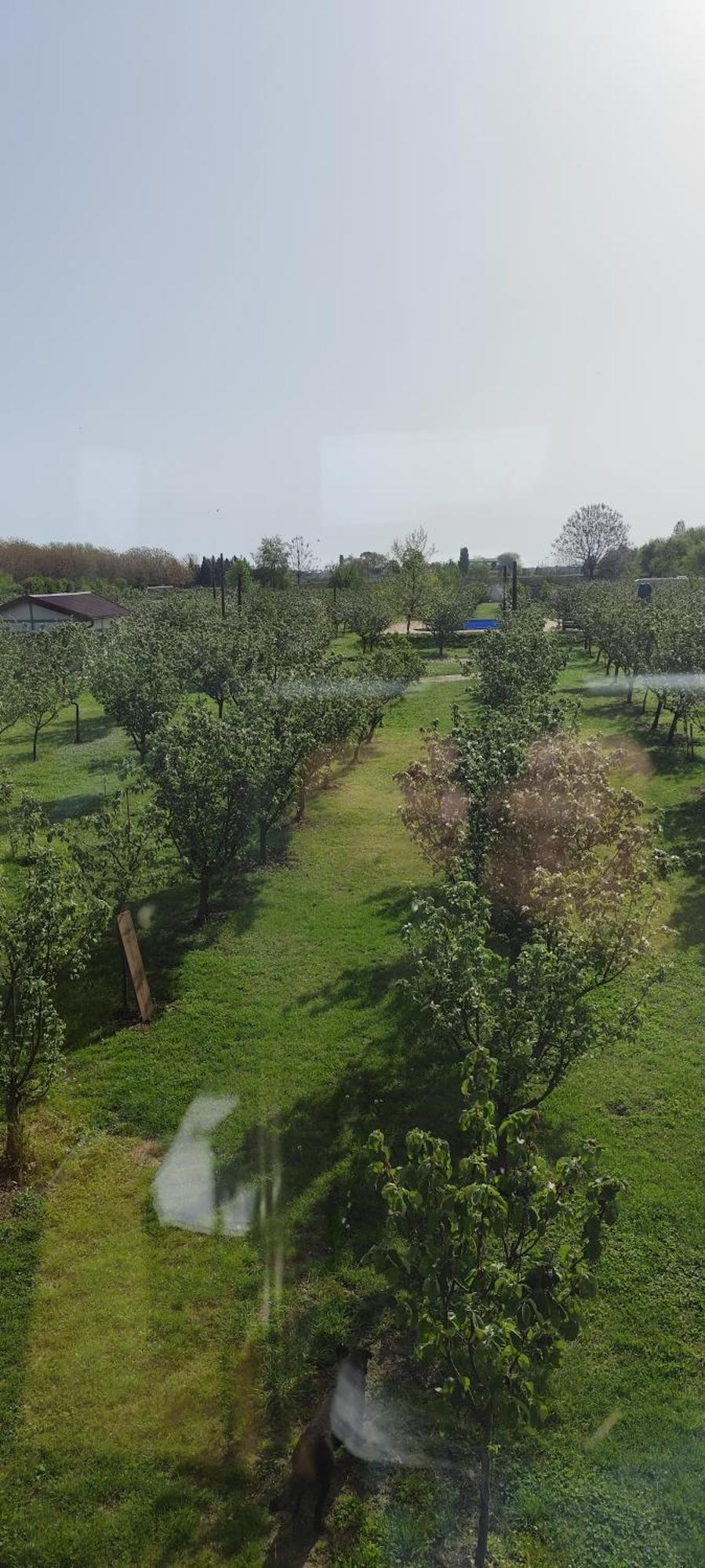 Salaš Farma 47-Miris Dunja Cenej Bagian luar foto