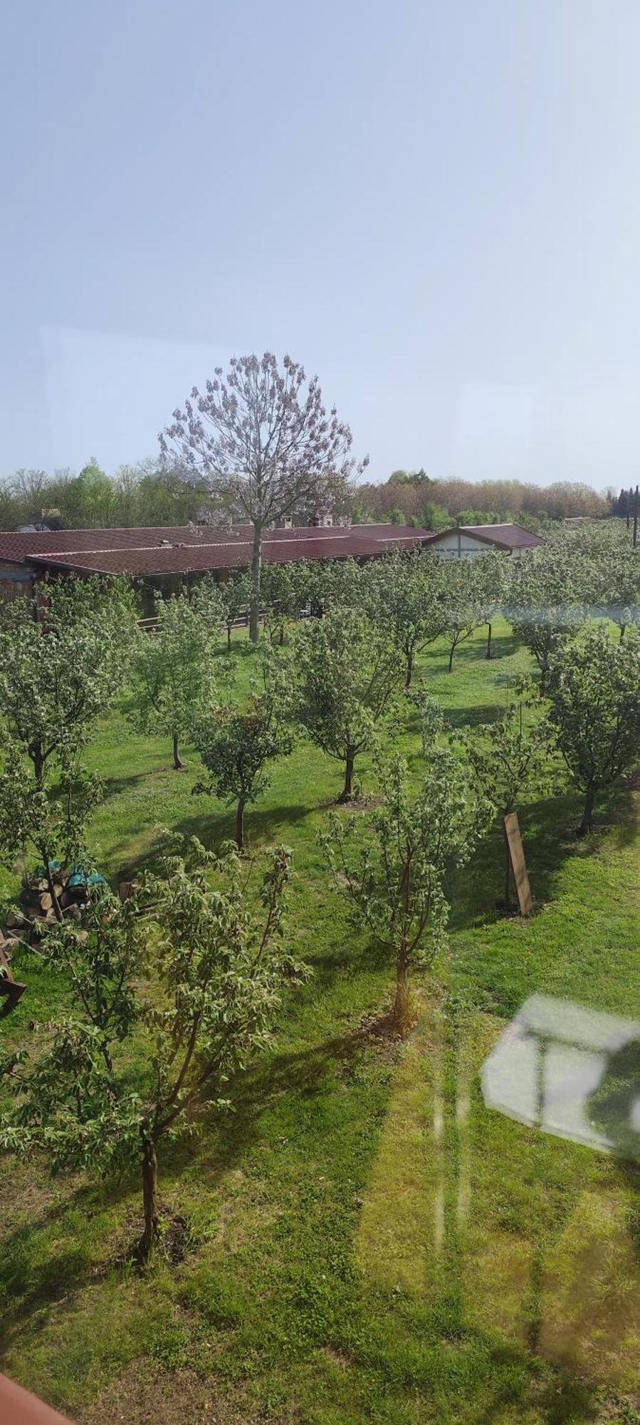 Salaš Farma 47-Miris Dunja Cenej Bagian luar foto