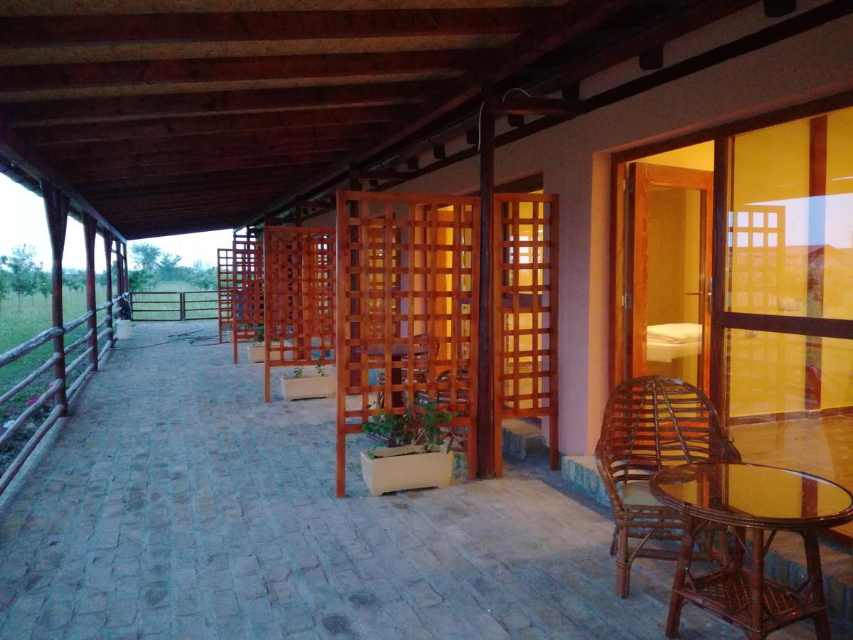 Salaš Farma 47-Miris Dunja Cenej Bagian luar foto