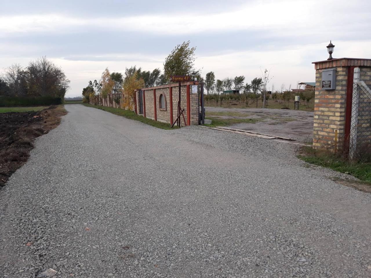 Salaš Farma 47-Miris Dunja Cenej Bagian luar foto